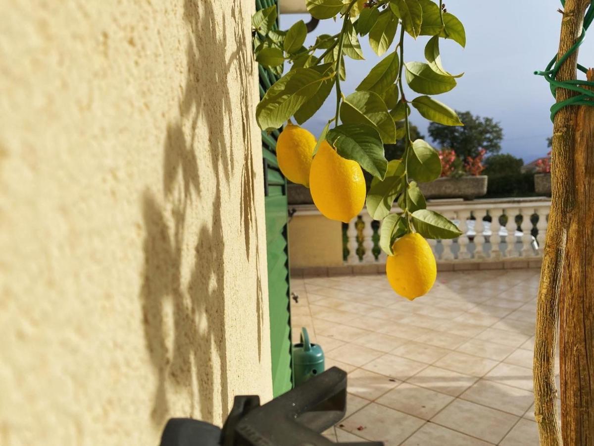 Villa Yucca Istra Labin  Εξωτερικό φωτογραφία