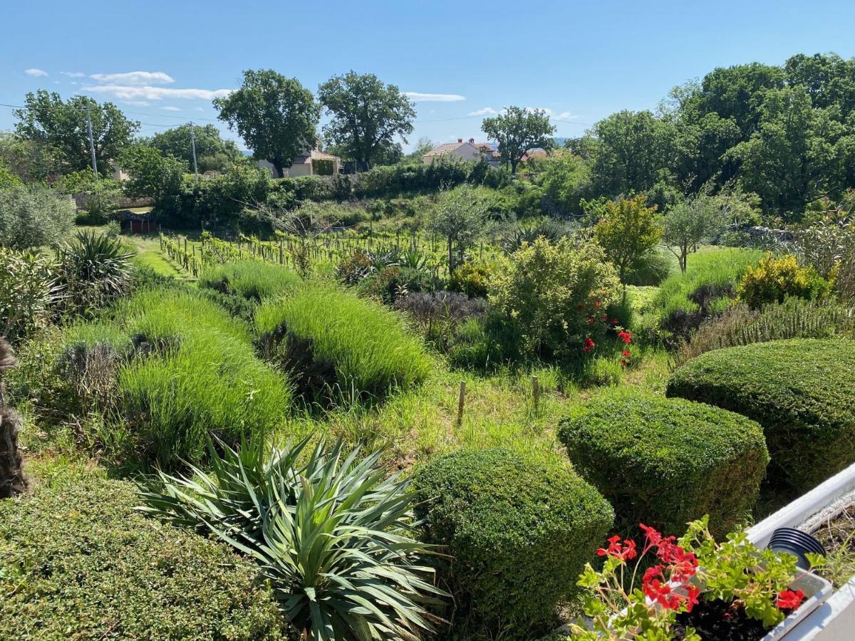 Villa Yucca Istra Labin  Εξωτερικό φωτογραφία