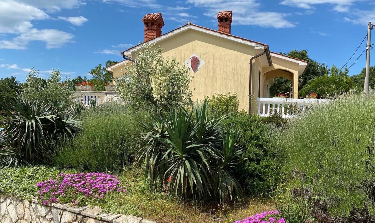 Villa Yucca Istra Labin  Εξωτερικό φωτογραφία